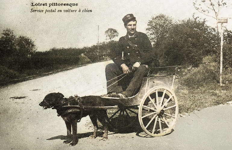 Op deze 19de-eeuwse ansichtkaart laat een Franse postbode zich voeren door een trekhond