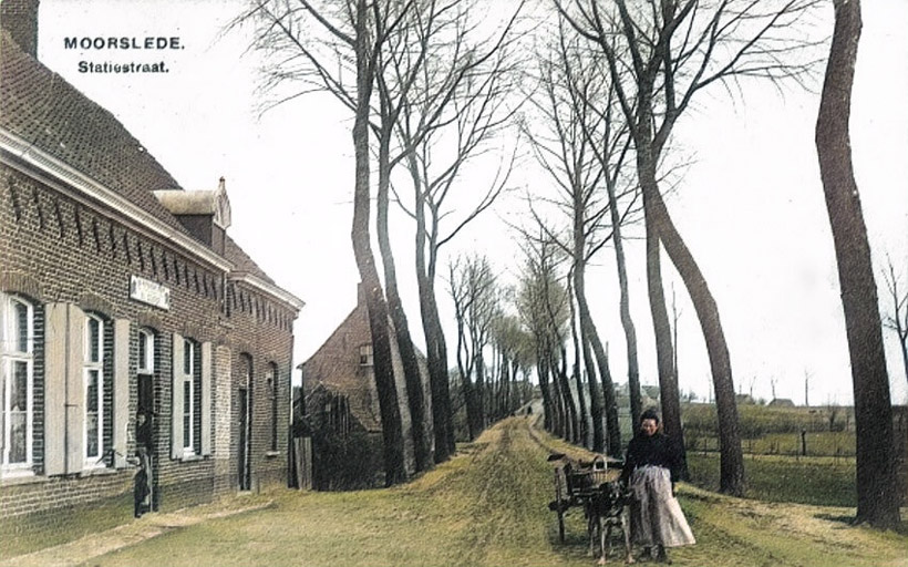 Vrouw met hondenkar in de Statiestraat in Moorslede.