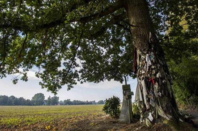 Devotieboom behangen met lapjes stof in het Waalse Harchies.