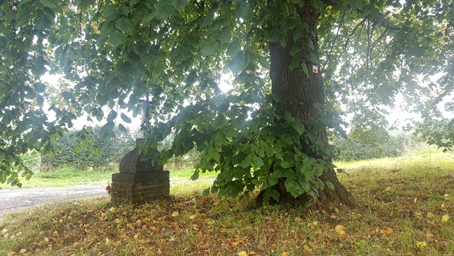 Kapel onder een lindeboom in het Waalse dorp Jos (Herve).