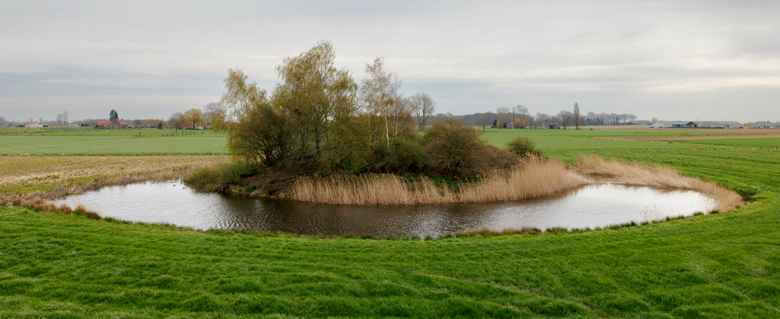 Een bewaard gebleven voorbeeld van laatmiddeleeuwse motte. Torhout, Zuidwallenstraat (Foto: Onroerend Erfgoed Vlaanderen).
