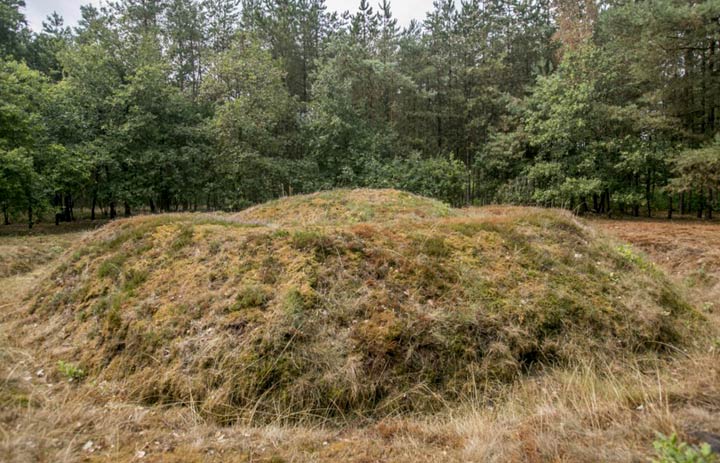 Grafheuvel (ca. 700 vr. Chr.) van het urnenveld in het Kempense Ravels (Foto: DS. J. De Weerdt)