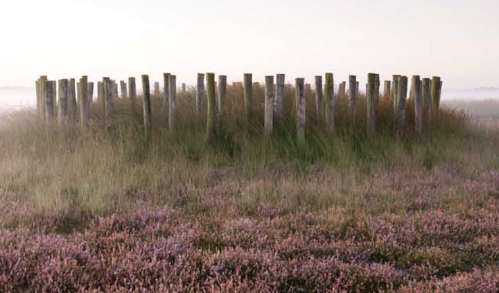 Grafheuvel omzoomd door een palenkrans. (Foto: Q. Bourgeois)