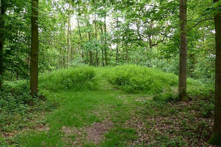 Grafheuvel in het bos bij Putten, op de Veluwe in Gelderland.